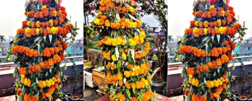 हरिशयनी एकादशी : महत्व र कार्य
