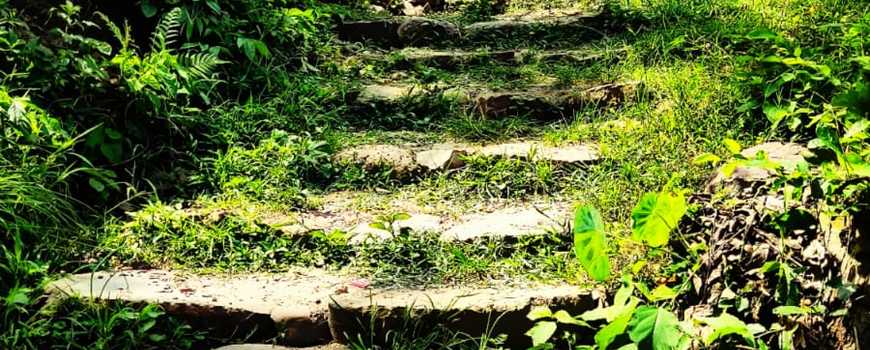 साधुटारमा श्रमदानबाट पदमार्ग निर्माण