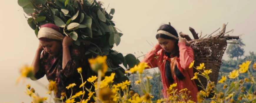 मिलन भुजेलकाे  ‘बैँसको लाली’ सार्वजनिक