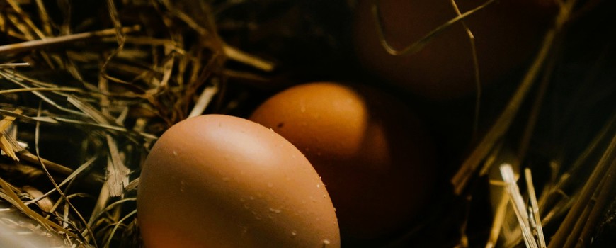 आजदेखि लागू हुनेगरी अण्डाको मूल्य बढ्यो